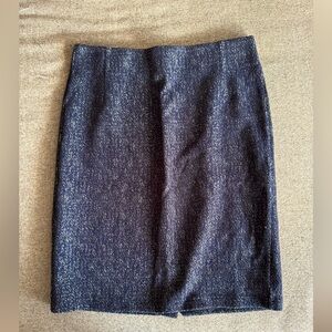 Navy Loft skirt